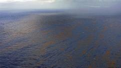 Ученые анализируют последствия взрыва нефтяной платформы в мексиканском заливе