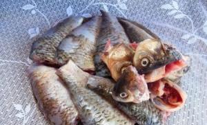 स्वादिष्ट व्यंजन के लिए घरेलू नुस्खा: क्रूसियन मछली का सूप