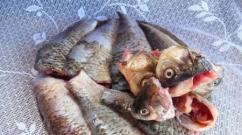 स्वादिष्ट व्यंजन के लिए घरेलू नुस्खा: क्रूसियन मछली का सूप
