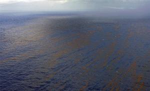 वैज्ञानिक मेक्सिको की खाड़ी में एक तेल प्लेटफ़ॉर्म विस्फोट के परिणामों का विश्लेषण कर रहे हैं